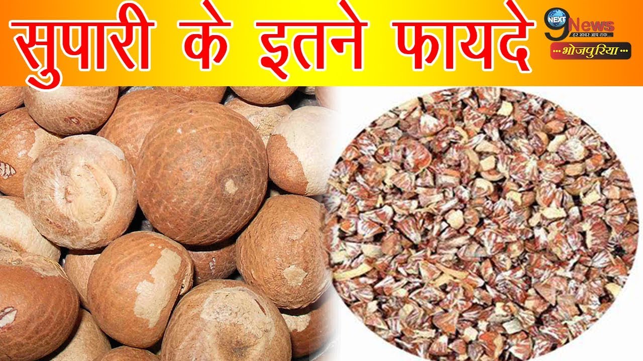 Betel Nuts Cutting Unroasted 100 g (Supari Tukda Kachi)