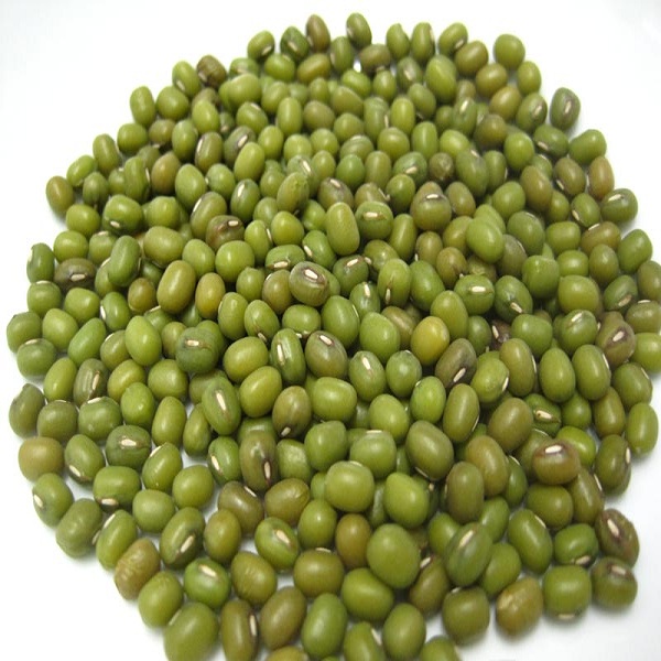 Moong Whole 500 g (Green Gram Beans/Pesarlu)