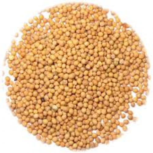 Mustard Seed Powder Yellow 100 g (Pili /Sarso)