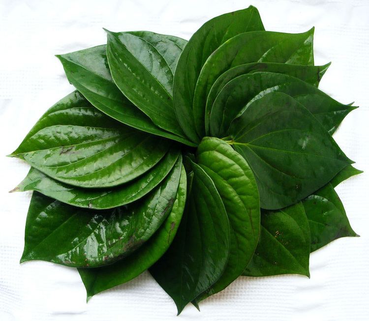 Fresh Betel Leaves 1 Piece (Calcutta Pan/Vetrilai/Thamalapaku)