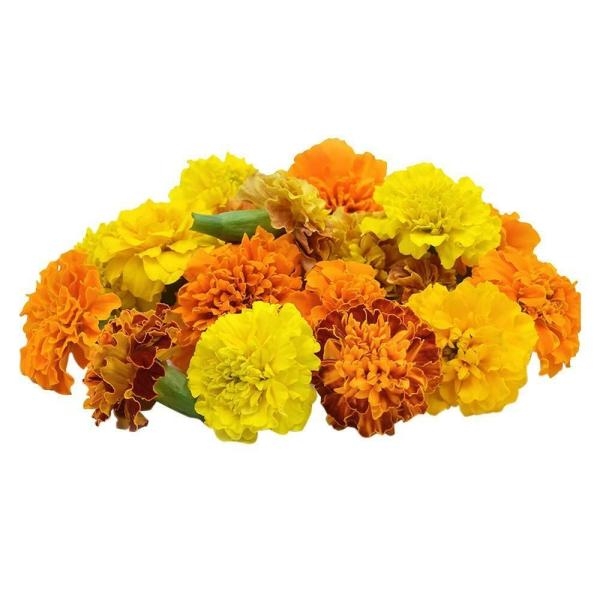 Fresh flowers Marigold 100 ( Yellow Marigold)