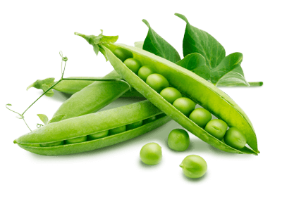 Fresh Green Peas 500 g(Indian Vatana)