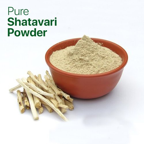 Shatavari powder 50 g (Hakeem Chichi Sons)
