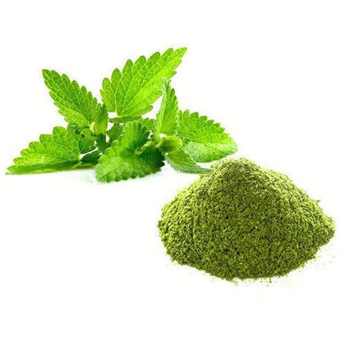 Dried Mint Powder 100 g (Pudina Powder)