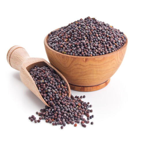 Mustard Seed Big 100 g (Rai/Sarso)