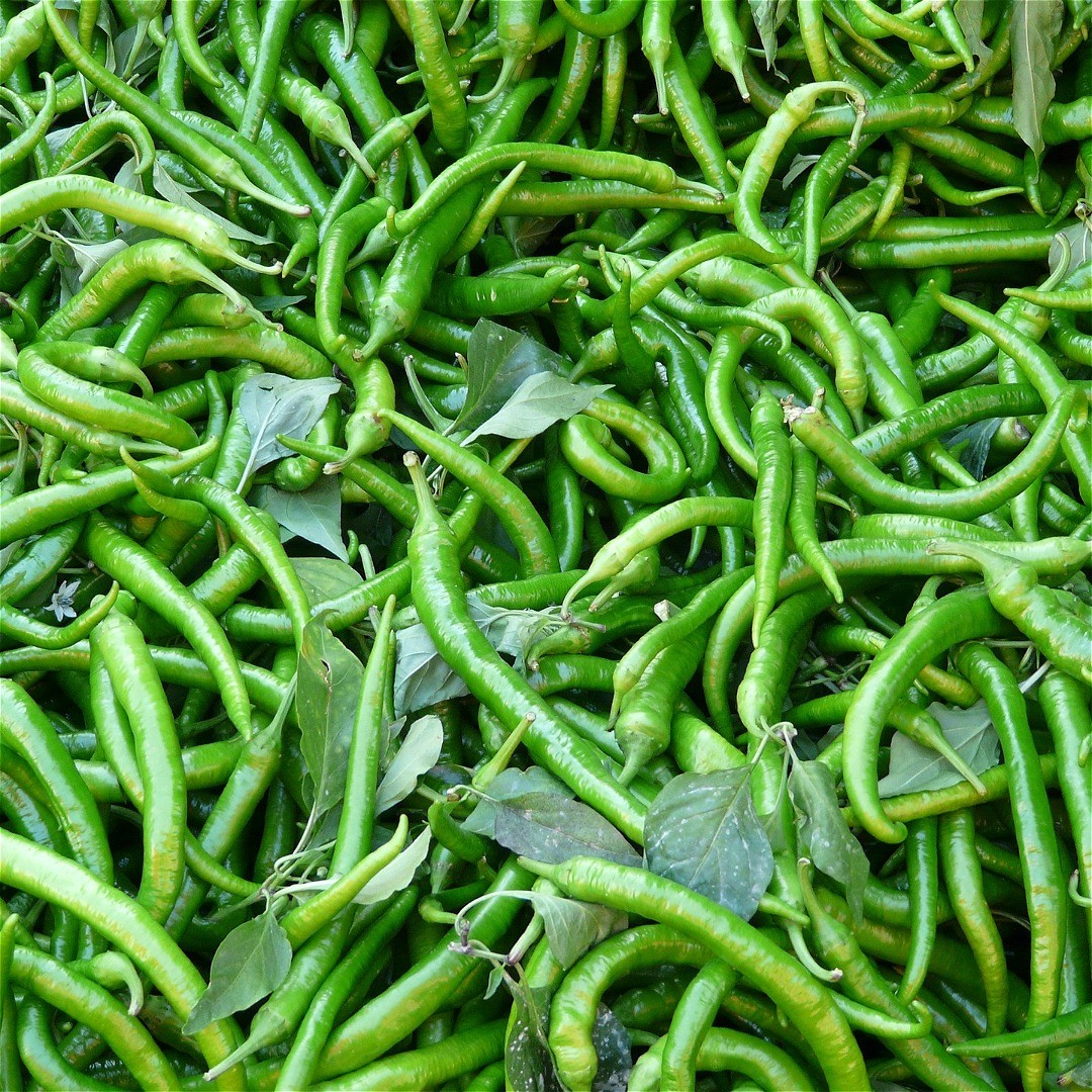 Frozen Green Chilli Thailand Very Hot 500 g