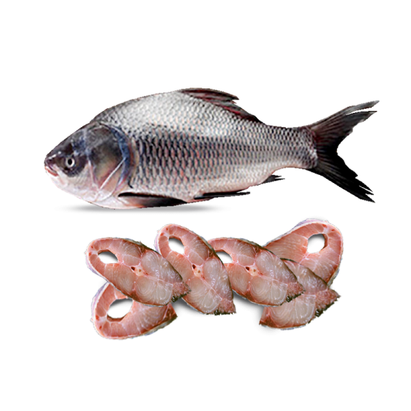 Frozen Fish Katal Cut 1 kg