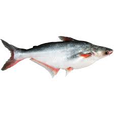 Frozen Fish Pangas Cut 800 g