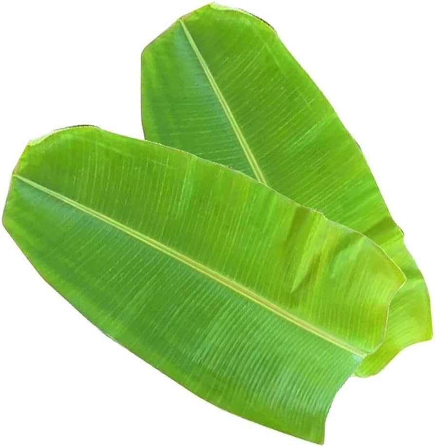 Fresh Banana Leaves 1 kg (Kele ka patta/Vaazhai-ch- charugu/Araṭi aku)