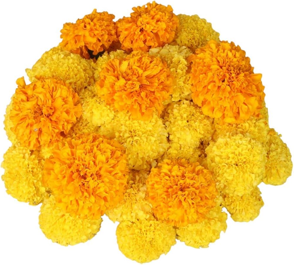 Fresh flowers Marigold 100 ( Yellow Marigold)