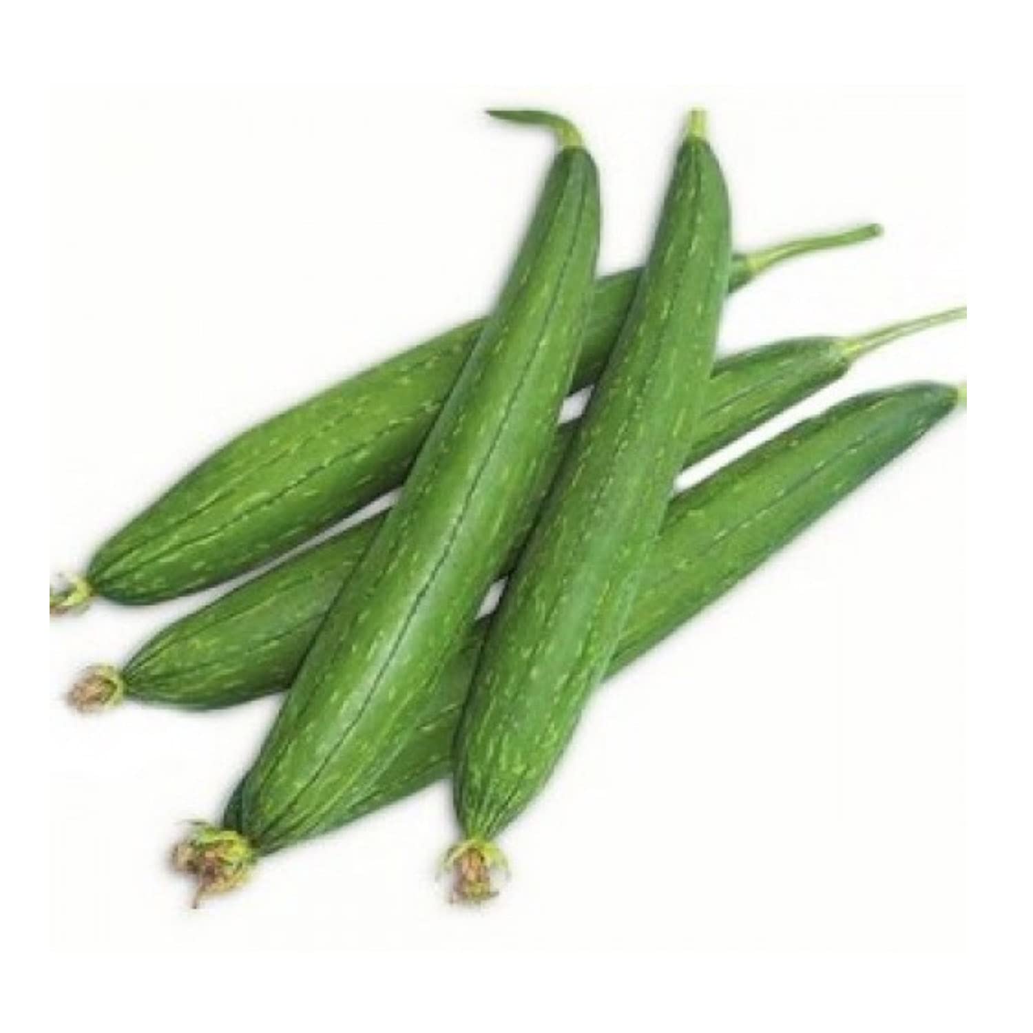 Fresh Sponge Gourd 1 kg (Turai)